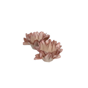 FORMINHA MINI MADRI 30 UN DOCE DE LEITE