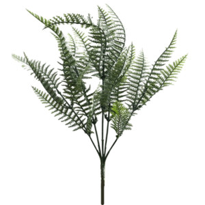 BQ SAMAMBAIA 34CMX5 - 42191