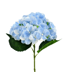 BQ HORTENSIA 45CMX3 C/72 FLORES - 41957AZ