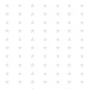 SACOS POLI DECOR. 30X44 - C/50 ESTRELA BCO - 11301124