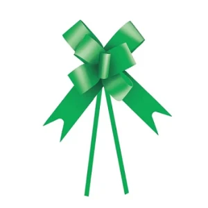 LACO FACIL LISO VERDE 23MM C/ 10