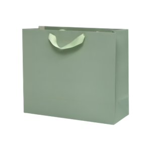 SACOLA M SHOES VERDE SALVIA - 4461