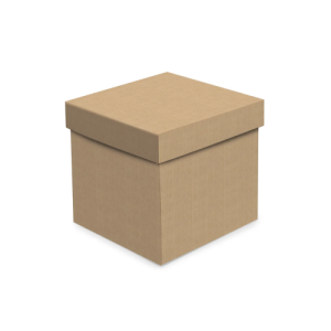 CAIXA CUBO KRAFT 19X19X19 - 13004975