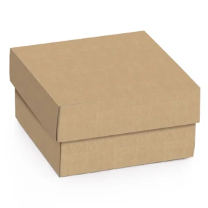 CAIXA KRAFT 12X12X4 C/10