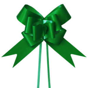 LACO FACIL 16MM VERDE BOTANIC - C/10