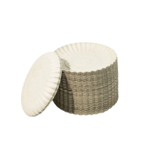 PRATO PAPELAO N 03 17CM - C/10