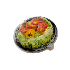 BAND. PLAST 26I SALADEIRA - C/05 GALVANOTEK